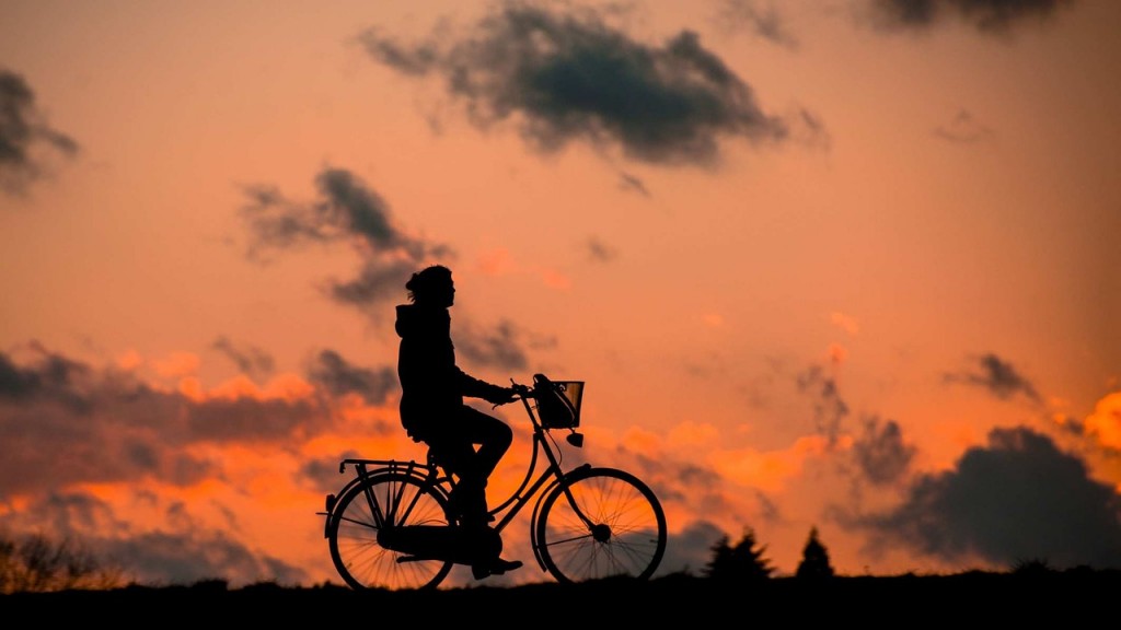 Upplev omgivningarna på cykel.